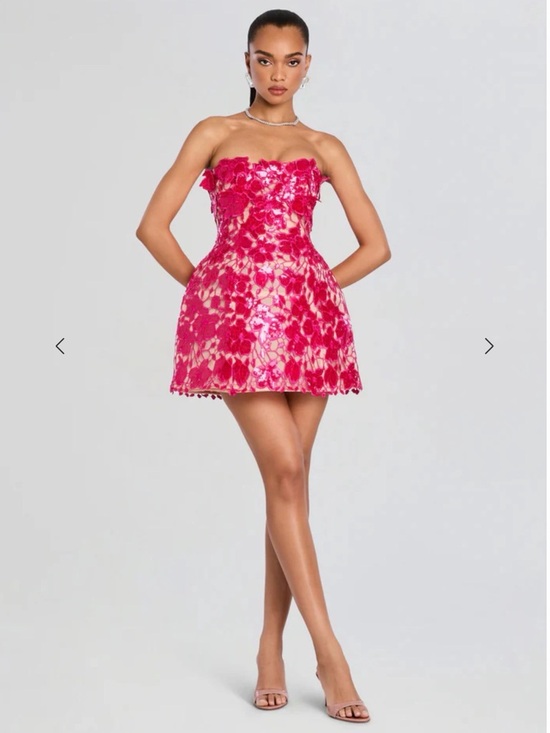 Retrofete Dresses & Skirts - Retrofete Alira Lace Dress